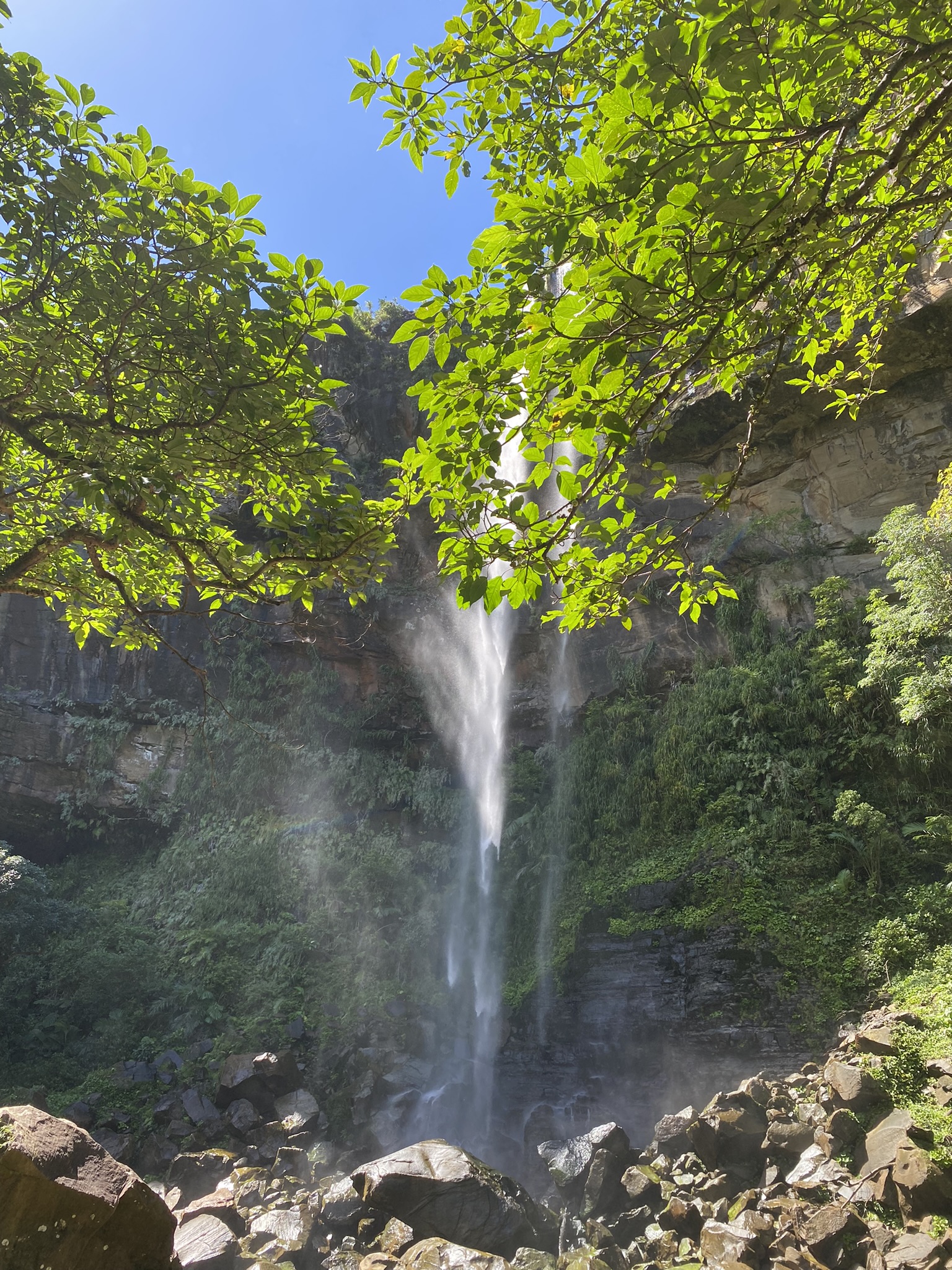 Waterfall in Iriomote