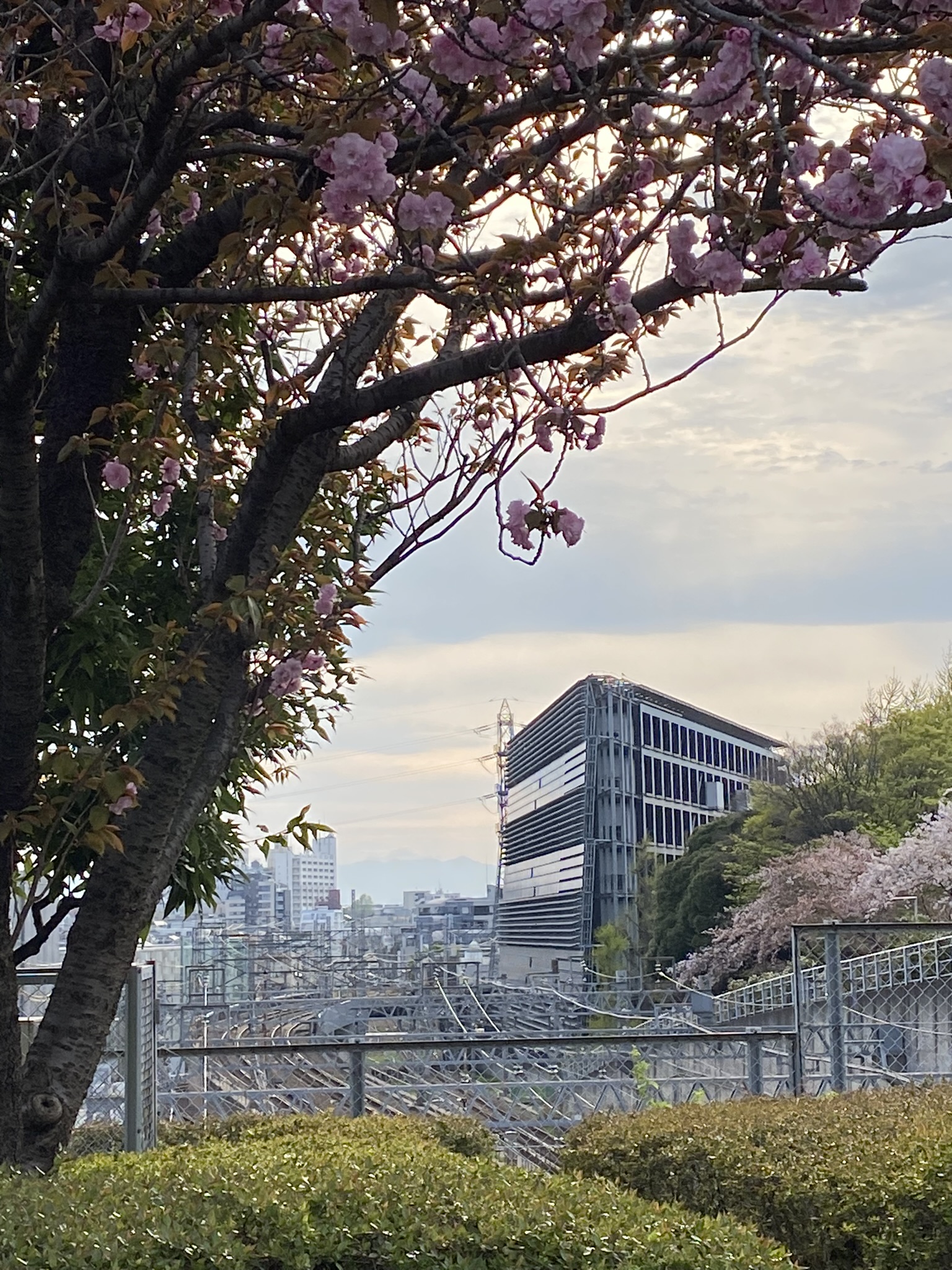 Sunset over Tokyo